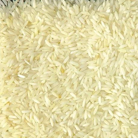 Sona-masuri
